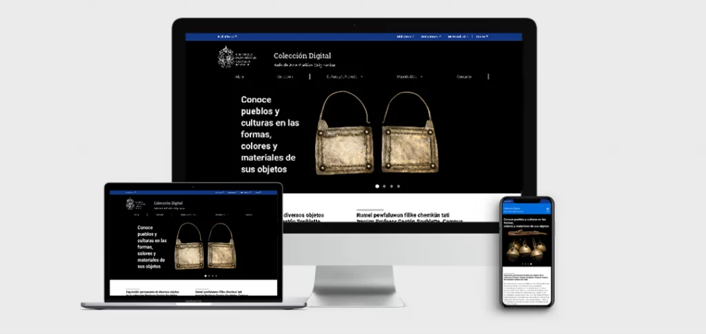 Colección Digital AAPO​