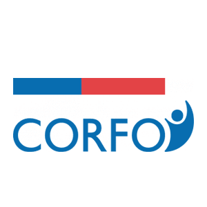 Layer 3fondos Antü Digital