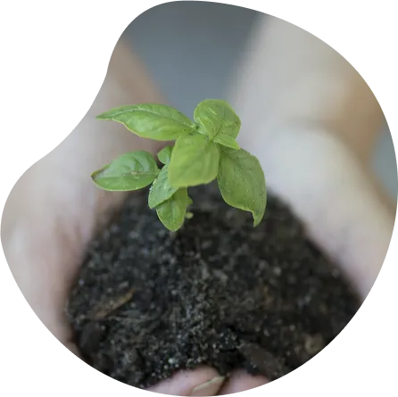 compromiso sostenible Antü Digital